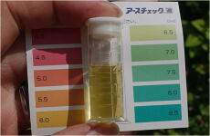 家庭園芸と土壌酸度（pH）