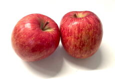 庭園内のリンゴ