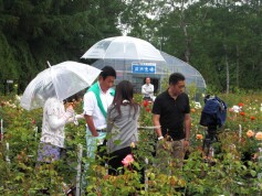 「ズームイン！！サタデー」の取材がきました