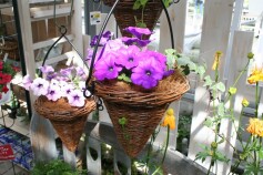 雰囲気を変えてみては・・・