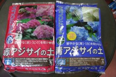 アジサイ専用の土