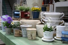 Potが多種入荷中