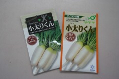 小太りくん