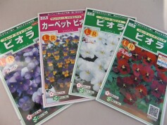 ビオラ