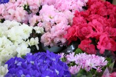 卒業式のお花