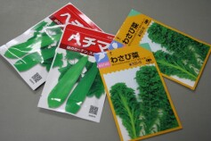 大人気の種再入荷