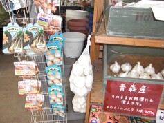 人気の青森産ニンニク！