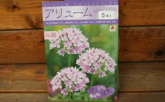 入荷のお知らせ！✩球根