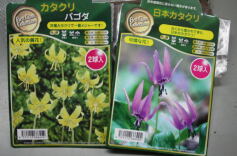 入荷のおしらせ！✩球根