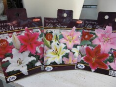 リリーワイナリー