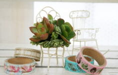 ☆プチ多肉アレンジ講習会のお知らせ☆