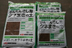 わくわくします。