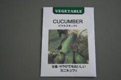 ピクルスキュウリ