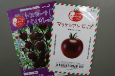 マウロの地中海トマト　その１