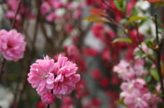 5月の写真