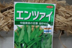 エンツァイ