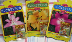 お待たせしました！再入荷！！