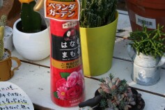 病気と虫の予防スプレー