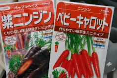 ニンジン