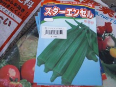 ‘スターエンゼル’