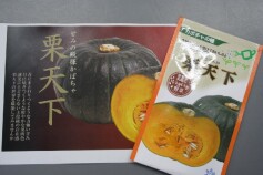 栗天下