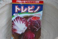 サラダ野菜