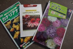 花のタネも揃いました！！