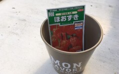 ホオズキ