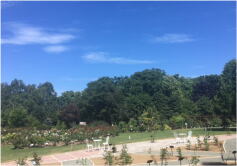 8月の写真