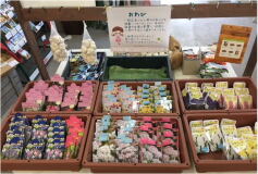 球根入荷のお知らせ