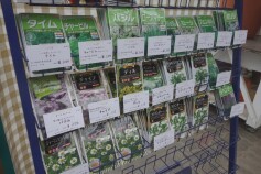 ハーブのタネ
