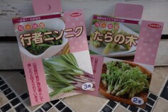 山菜