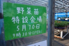 ☆☆本日から野菜苗特設会場がＯＰＥＮです！！☆☆