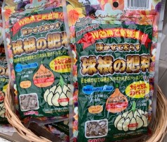 球根の肥料