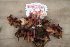 ショウガ収穫！