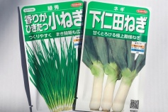 ネギ