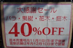 苗木売場では40パーセントオフセール実施中です♪♪