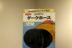 ‘ダークホース’