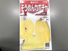 そうめんカボチャ