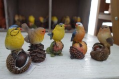小鳥たち