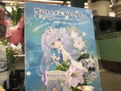 雪ミクペチュ　スノーブルー