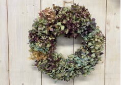 11月の写真