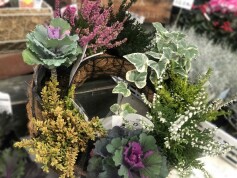リース型の寄せ植え