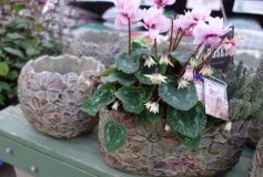 花模様の鉢