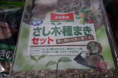 さし木・種まきセット