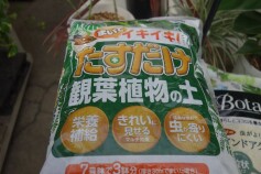 まいてイキイキ！観葉植物の土
