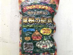 球根の肥料