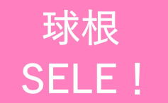 球根セール！