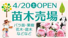 予告！苗木売場4/20OPEN