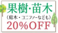 SALE!!　果樹・苗木